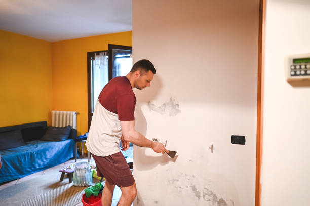 Best Fast Mold Removal  in Shattuck, OK